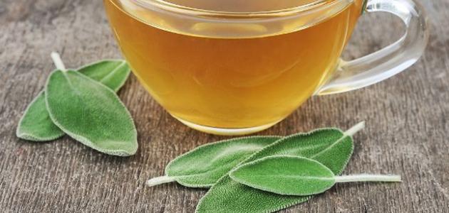 فوائد الميرمية للحمل وكيفية استخدامها