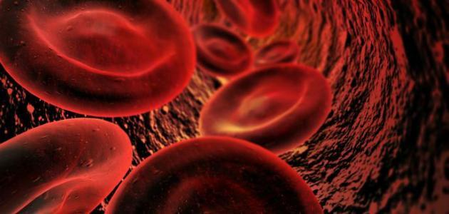 أسباب وعلاج نقص صوديوم الدم: كل ما تحتاج معرفته